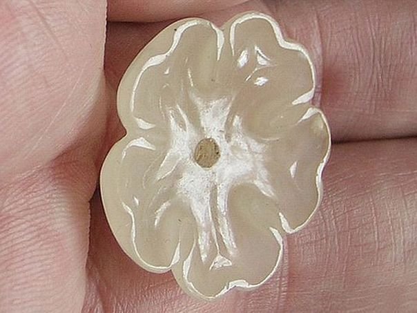 Flower 293 - (3703)